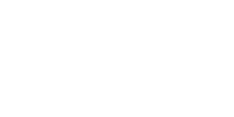 leder-spahn