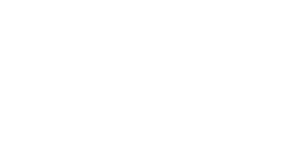 zenner